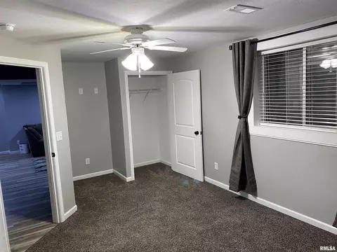 413 S Park Ave, Chatham, IL 62629 photo 19