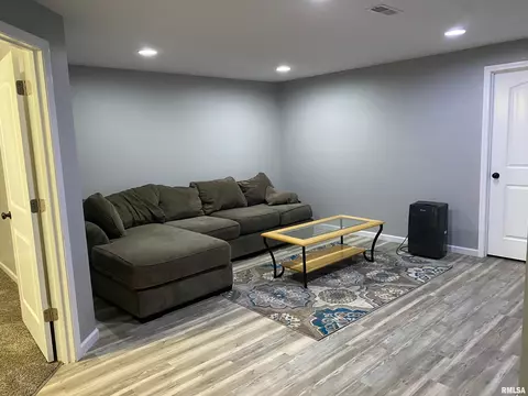 413 S Park Ave, Chatham, IL 62629 photo 15