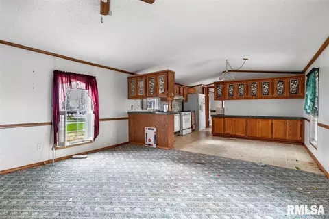 23820 Claypool St, Greenview, IL 62642 photo 24