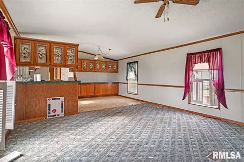 23820 Claypool St, Greenview, IL 62642 photo 23