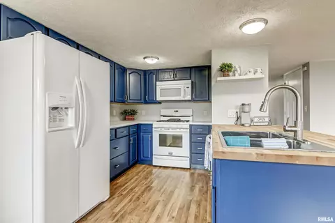 207 E Main St, Dawson, IL 62520 photo 16