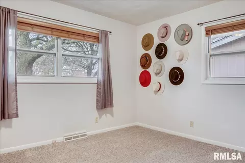 205 Dickinson Rd, Springfield, IL 62704 photo 29