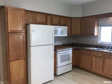 706 E Locust St, Chatham, IL 62629 photo 16