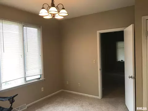 706 E Locust St, Chatham, IL 62629 photo 21