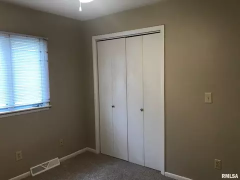 706 E Locust St, Chatham, IL 62629 photo 20