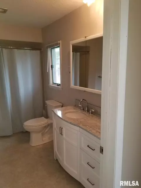 706 E Locust St, Chatham, IL 62629 photo 10