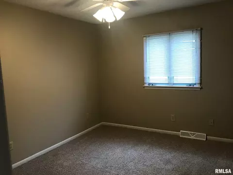 706 E Locust St, Chatham, IL 62629 photo 19