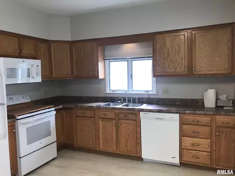 706 E Locust St, Chatham, IL 62629 photo 17