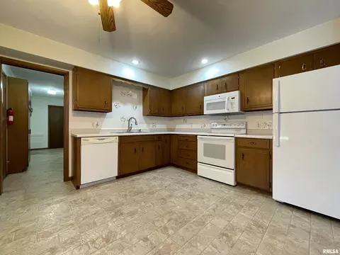 102 1st St, Alpha, IL 61413 photo 21