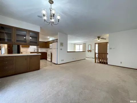 102 1st St, Alpha, IL 61413 photo 19