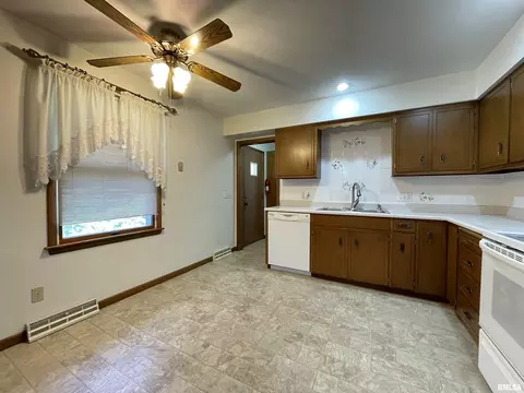102 1st St, Alpha, IL 61413 photo 22