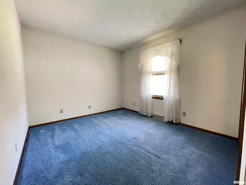 102 1st St, Alpha, IL 61413 photo 34