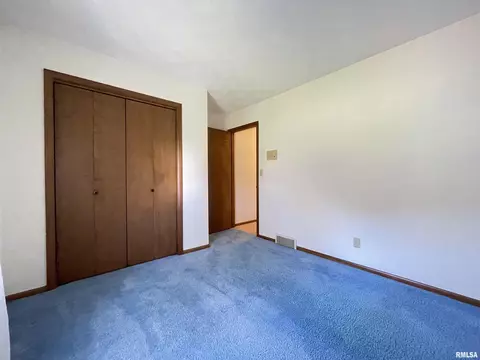 102 1st St, Alpha, IL 61413 photo 36