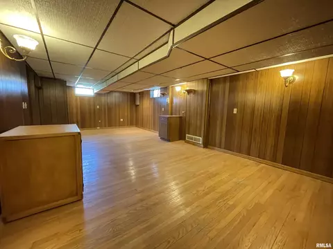 102 1st St, Alpha, IL 61413 photo 38