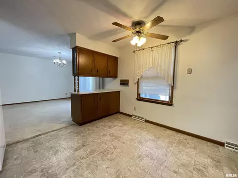 102 1st St, Alpha, IL 61413 photo 24