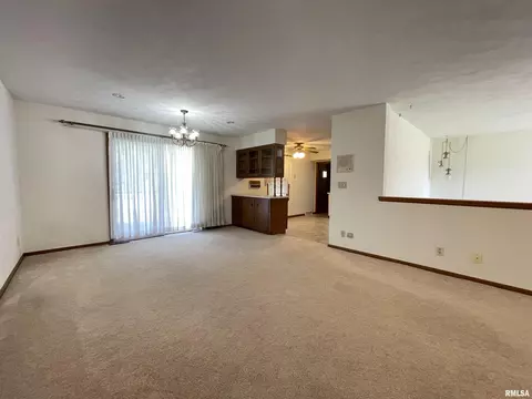 102 1st St, Alpha, IL 61413 photo 18
