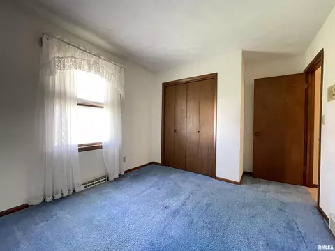 102 1st St, Alpha, IL 61413 photo 35
