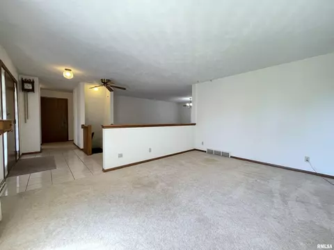 102 1st St, Alpha, IL 61413 photo 13