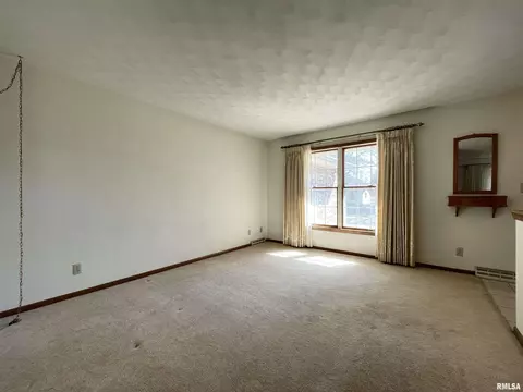 102 1st St, Alpha, IL 61413 photo 15