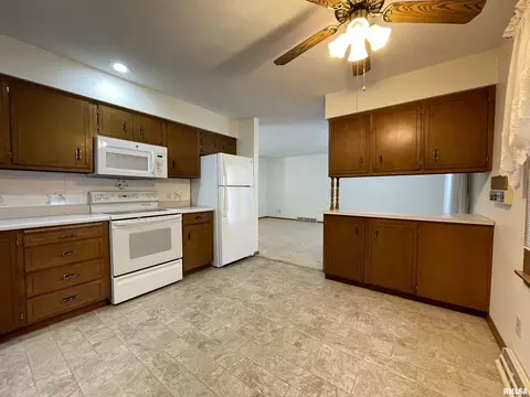 102 1st St, Alpha, IL 61413 photo 23