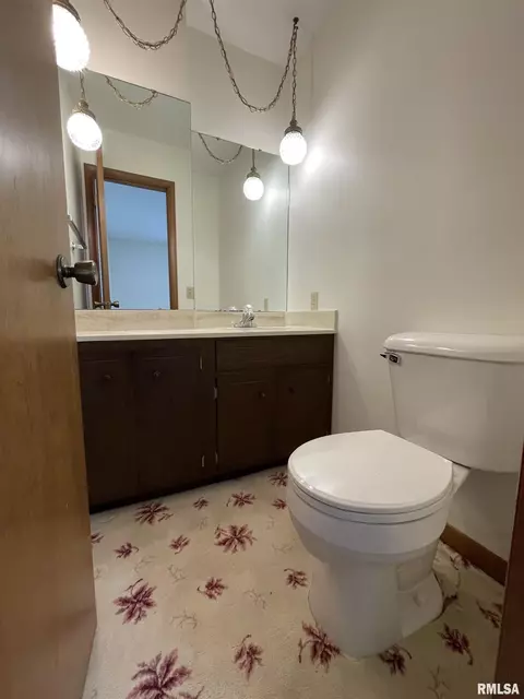 102 1st St, Alpha, IL 61413 photo 31