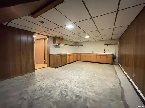 102 1st St, Alpha, IL 61413 photo 43
