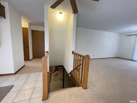 102 1st St, Alpha, IL 61413 photo 16