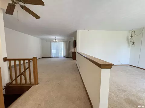 102 1st St, Alpha, IL 61413 photo 11