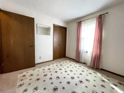 102 1st St, Alpha, IL 61413 photo 33