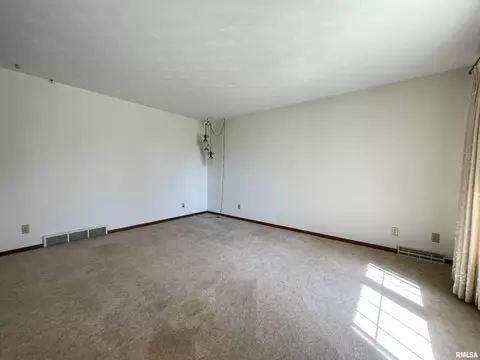 102 1st St, Alpha, IL 61413 photo 12