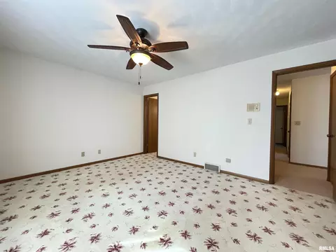 102 1st St, Alpha, IL 61413 photo 28