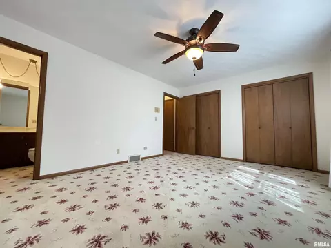 102 1st St, Alpha, IL 61413 photo 29