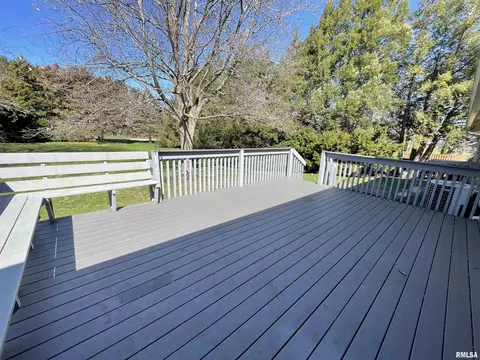 102 1st St, Alpha, IL 61413 photo 9