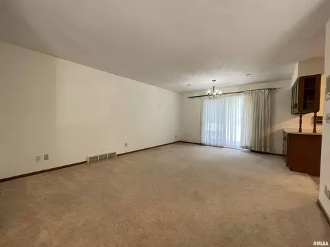 102 1st St, Alpha, IL 61413 photo 17