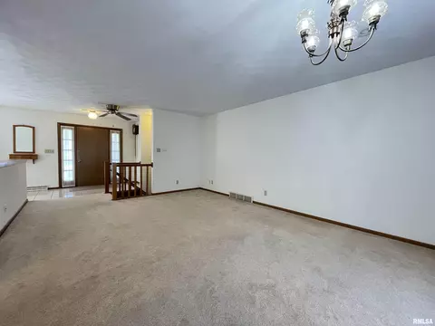 102 1st St, Alpha, IL 61413 photo 20