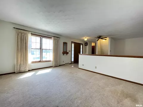 102 1st St, Alpha, IL 61413 photo 14
