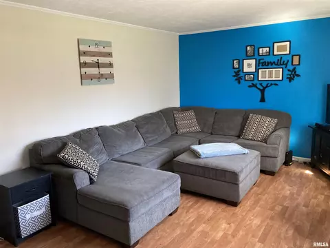 3509 Ivanhoe Dr, Springfield, IL 62703 photo 2