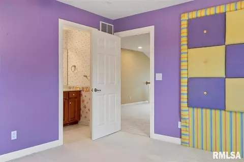 5209 Wildcat Run St, Springfield, IL 62707 photo 31