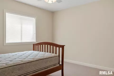 5209 Wildcat Run St, Springfield, IL 62707 photo 47