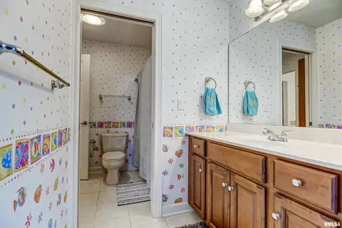 5209 Wildcat Run St, Springfield, IL 62707 photo 33