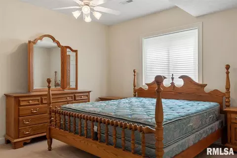 5209 Wildcat Run St, Springfield, IL 62707 photo 49