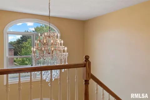 5209 Wildcat Run St, Springfield, IL 62707 photo 40