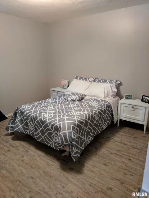 423 N Stephen Ave, Springfield, IL 62702 photo 4