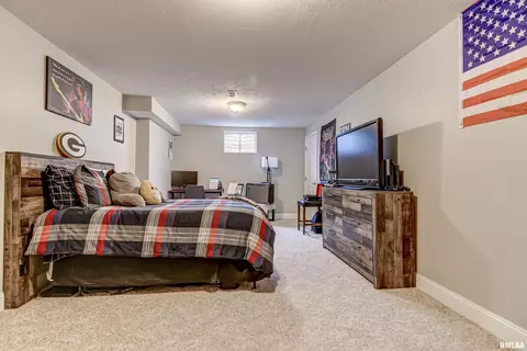 2406 Hampton Dr, Chatham, IL 62629 photo 41
