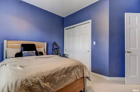2406 Hampton Dr, Chatham, IL 62629 photo 30