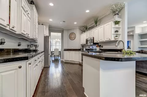 2406 Hampton Dr, Chatham, IL 62629 photo 16