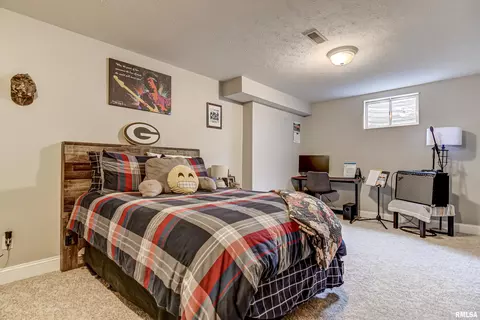 2406 Hampton Dr, Chatham, IL 62629 photo 40