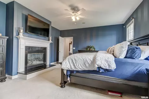 2406 Hampton Dr, Chatham, IL 62629 photo 25