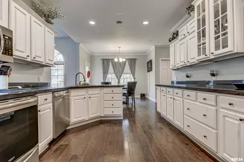 2406 Hampton Dr, Chatham, IL 62629 photo 19