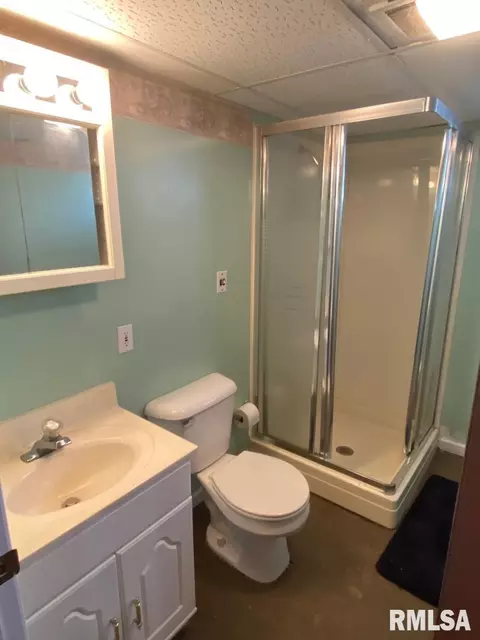 26 Walnut Street Ct, Springfield, IL 62704 photo 30